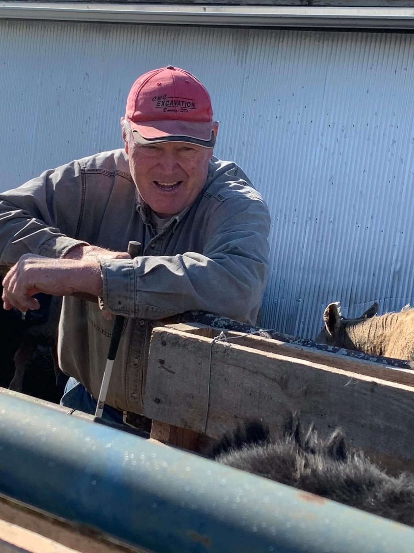 Roy working cattle at Nordwald Farms